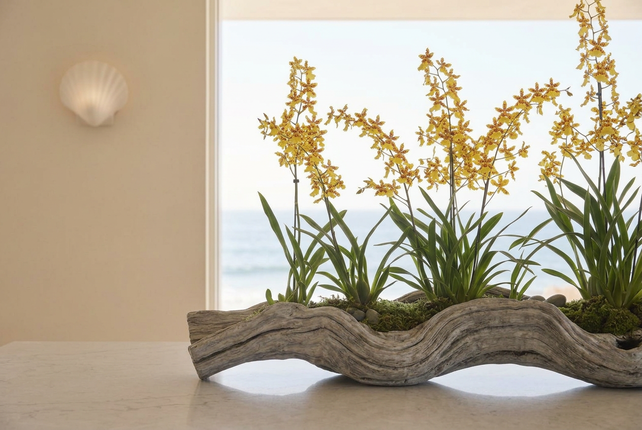 Gilded Tower orchids in wavy driftwood, ocean beyond
